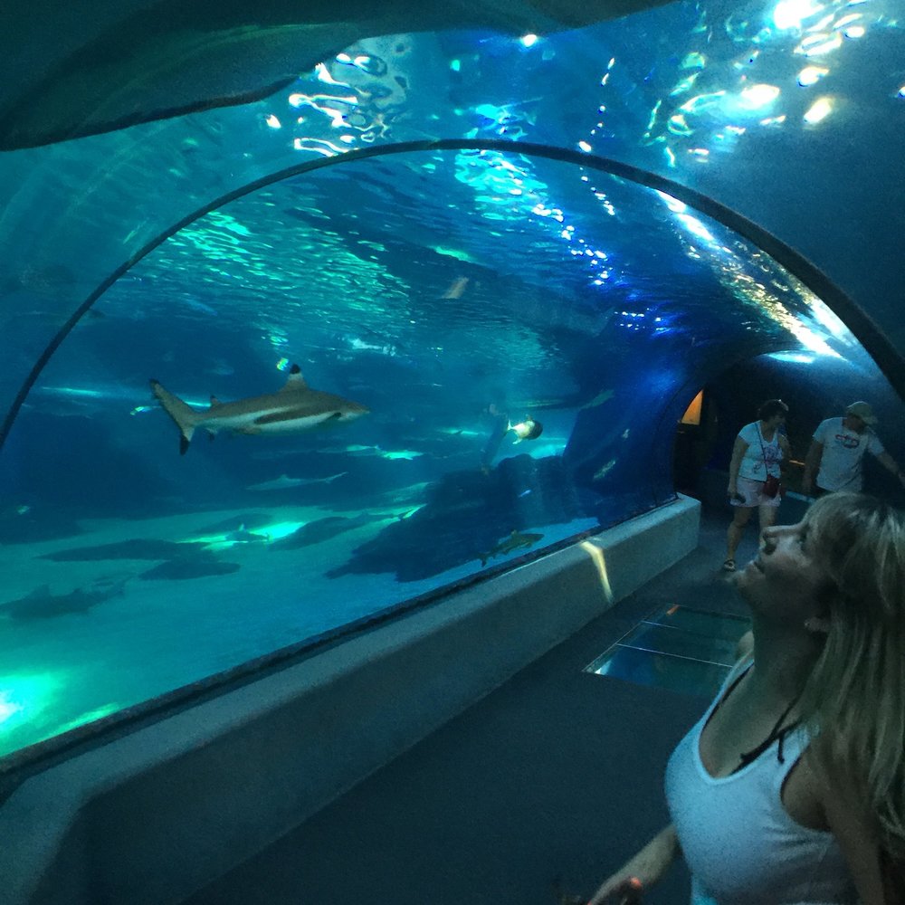 Meet your Posher, Michelle